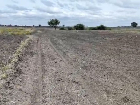 22 Acres Black Soil Agricultural Land