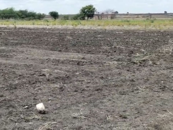 4.75 Acres Land for Sale in Ballari