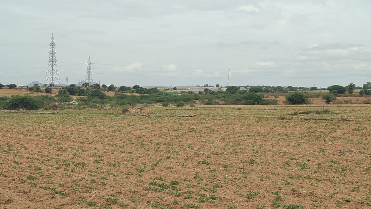 Red soil land
