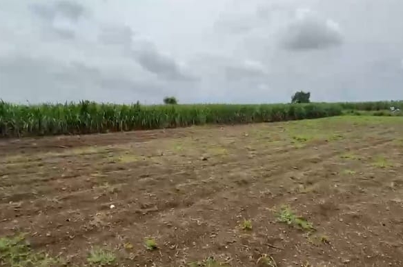 2 Acres Black Soil Agricultural Land