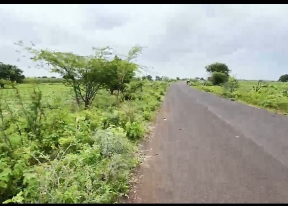 8 Acres Pure Black Soil Agricultural Land