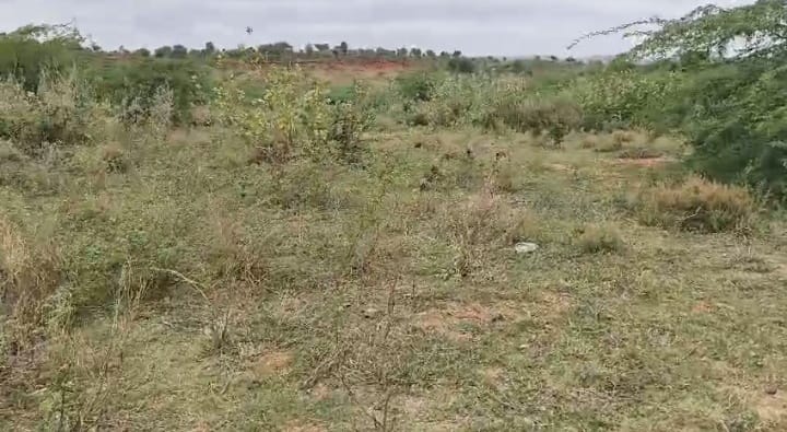 28 acre pure red soil land