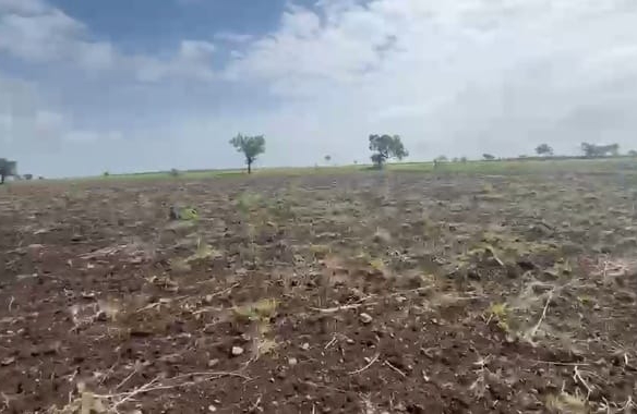 10 Acres Black Soil Land