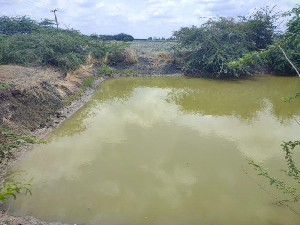 3.10 Acres Black Soil Land