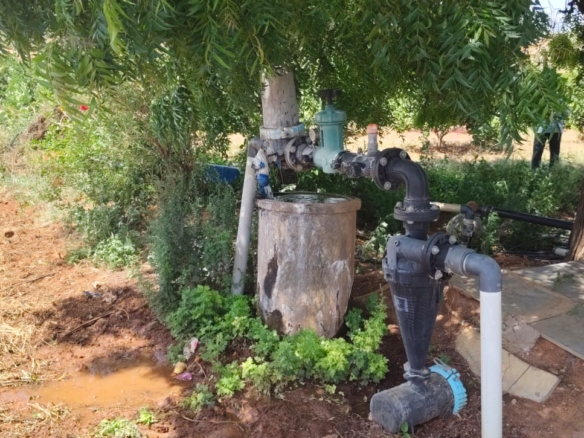 5 Acres Sweet Lemon Garden Land