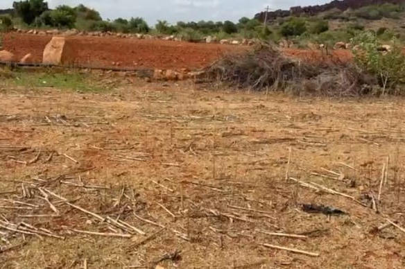 3.50 Acres Red Soil
