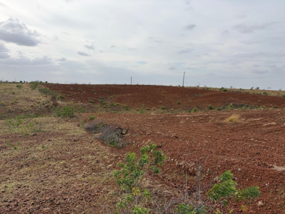 55 Acres Red Soil