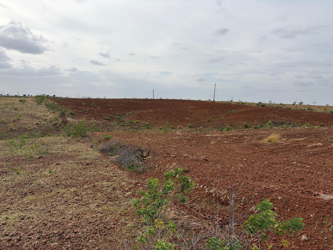 55 Acres Red Soil