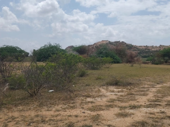 10 Acres Mixed Soil