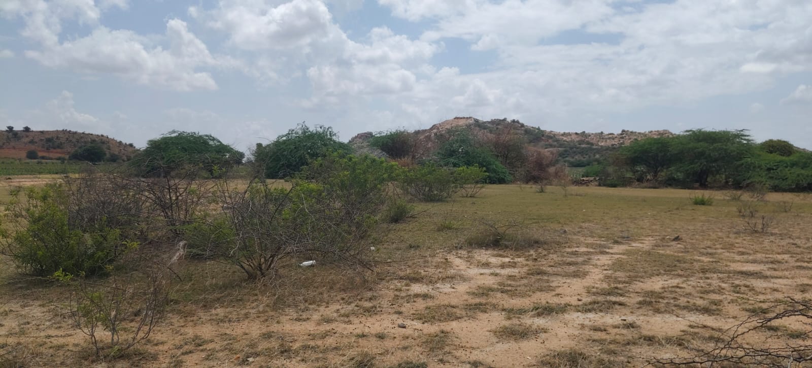 10 Acres Mixed Soil