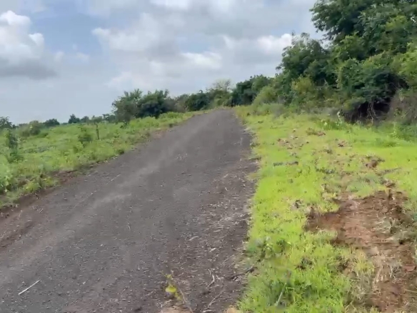 8 Acres Black Soil Land