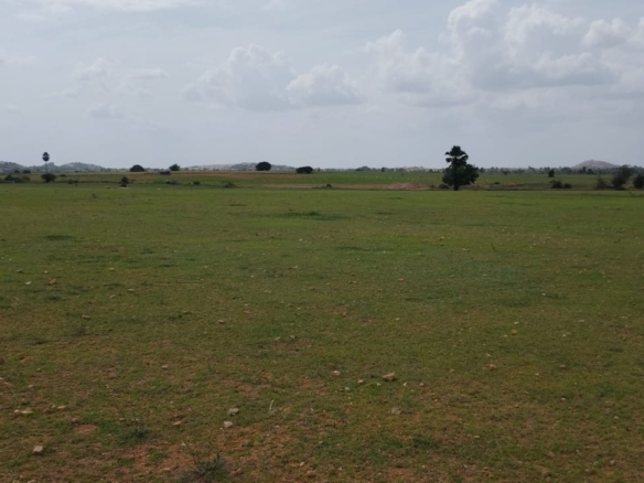 Red Soil Agricultural Land 