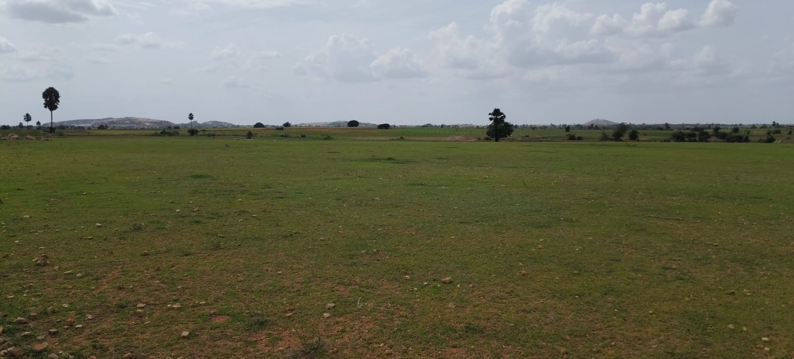 Red Soil Agricultural Land 