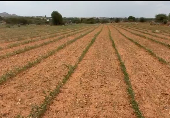 5 Acres Red Soil Land