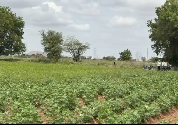 3 Acres Mixed Soil Land