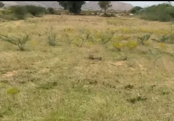 5 Acres Pure Red Soil Land