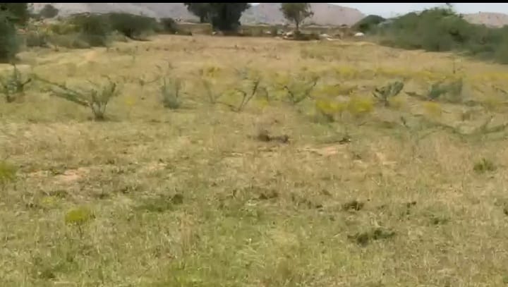5 Acres Pure Red Soil Land