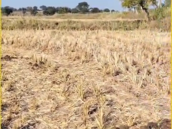 2 Acres 14 Guntas Farm Land 