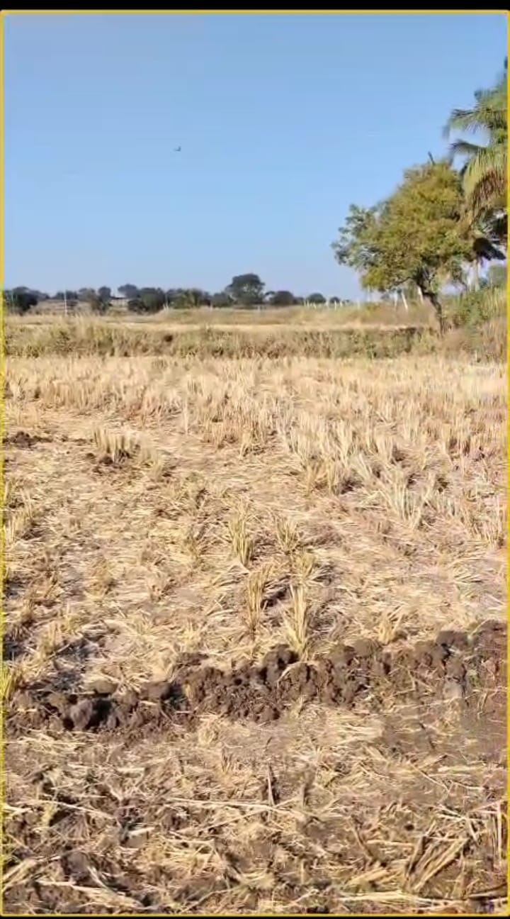 2 Acres 14 Guntas Farm Land 