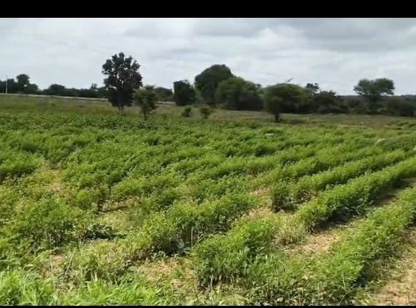 3 acres red soil land
