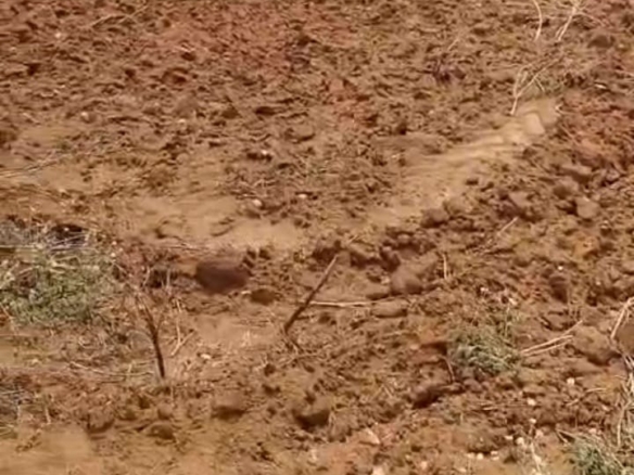 10 Acres Red Soil Land