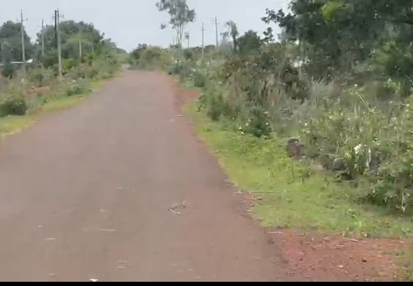 3 Acres Red Soil Agricultural Land