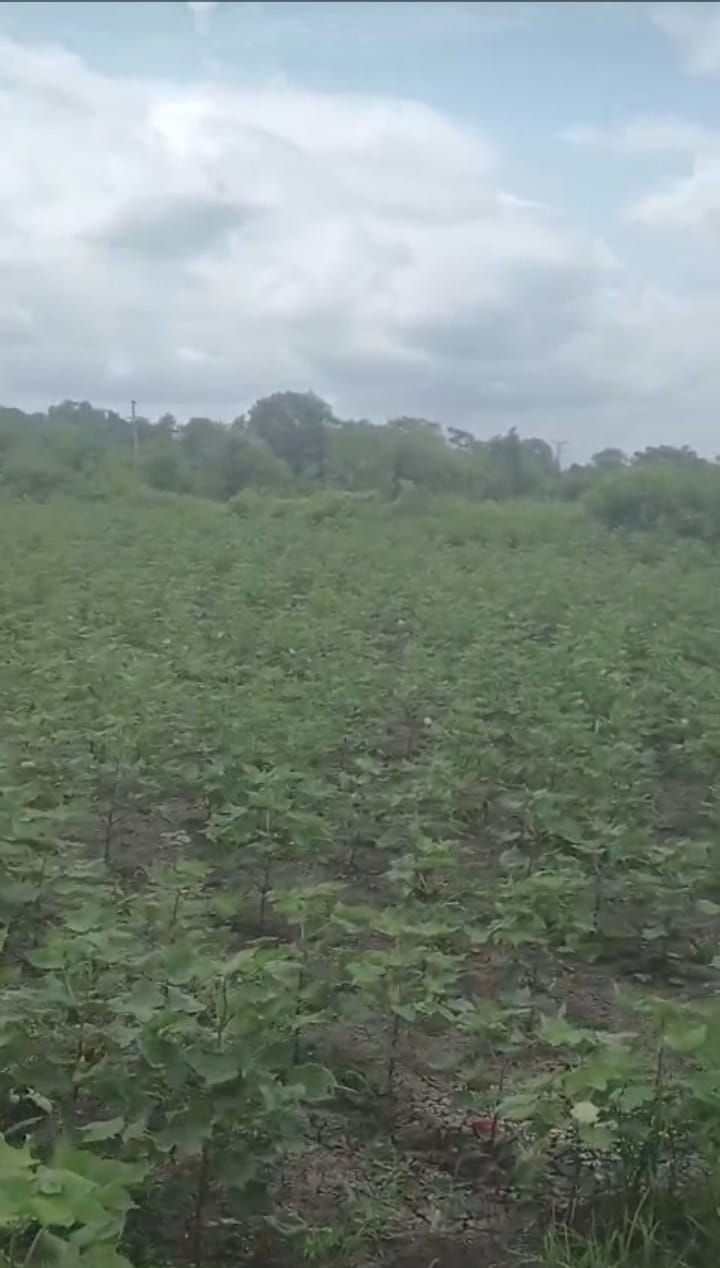 Farm Land Near Hyderabad for Sale | Agriculture Land Investment in Telangana | BHOOVIX agriculture land for sale