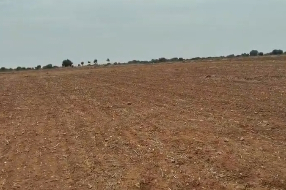 7.50 Acres Red soil land