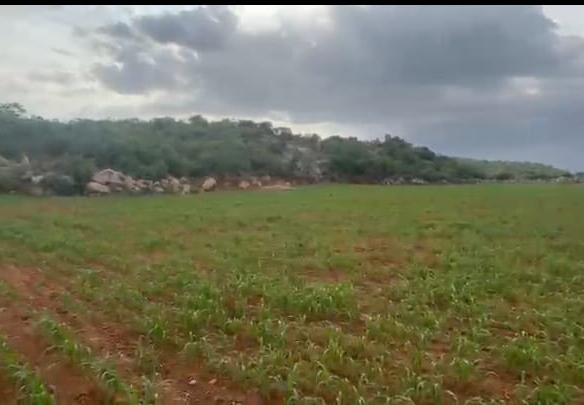 6 Acres Red Soil Land