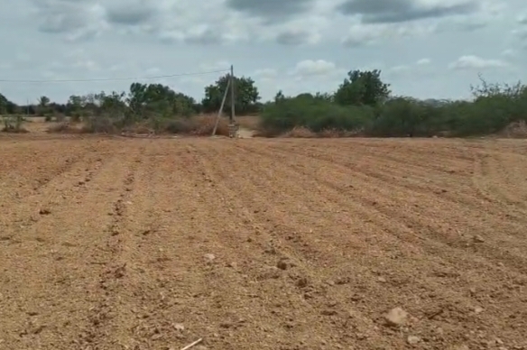 red soil land