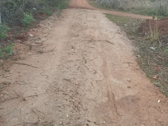Red Soil Agriculture Land
