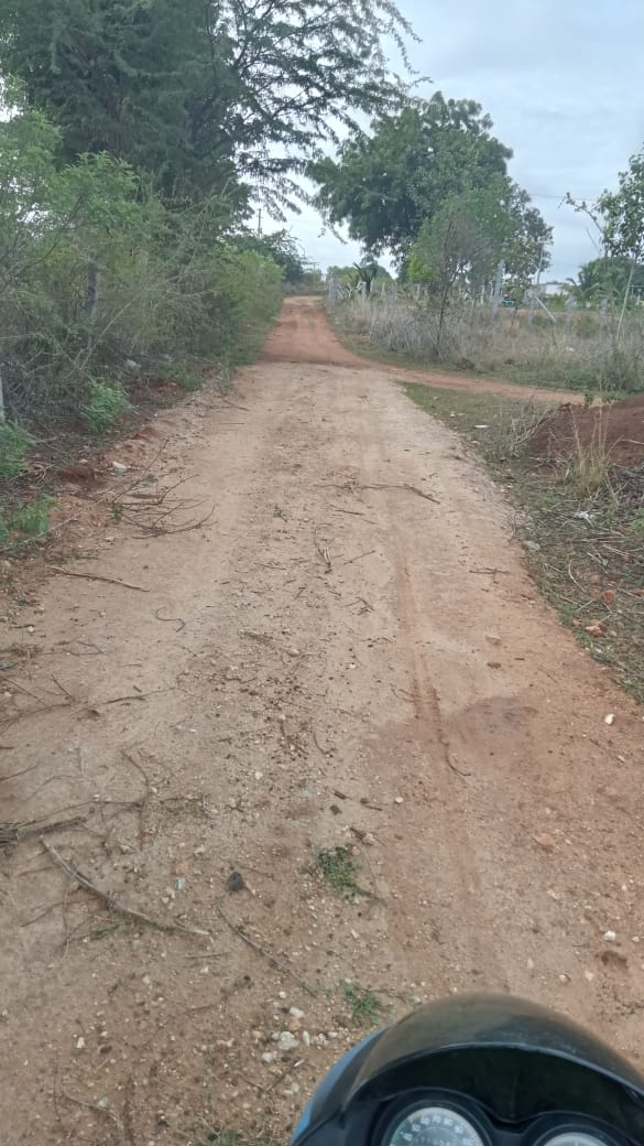 Red Soil Agriculture Land