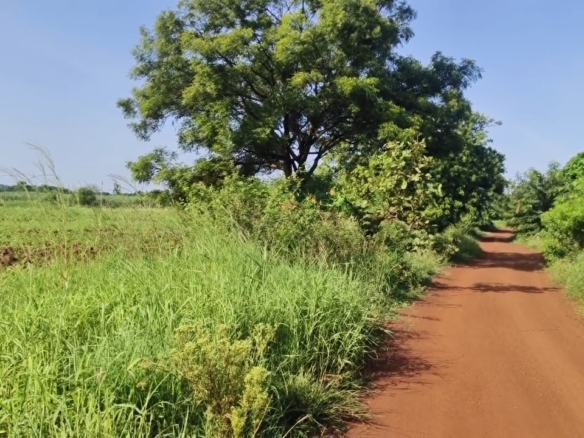 Mixed Soil Agriculture Land