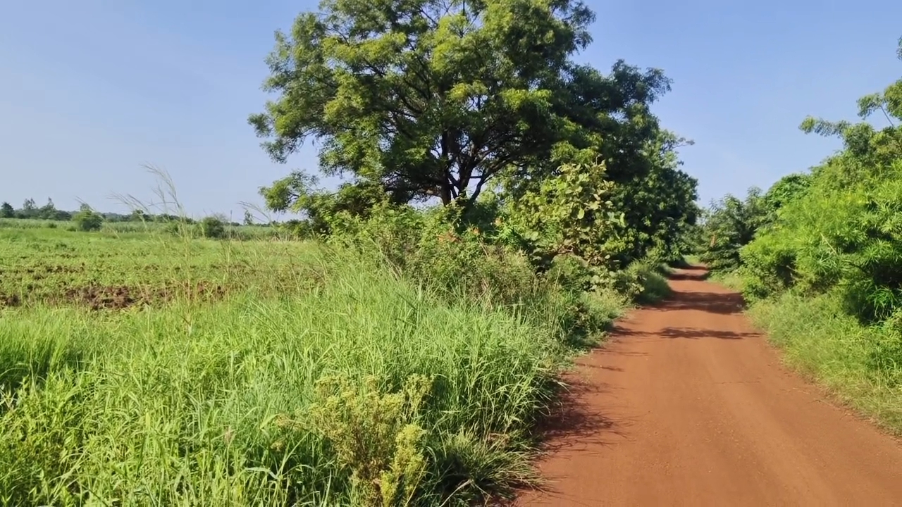 Mixed Soil Agriculture Land