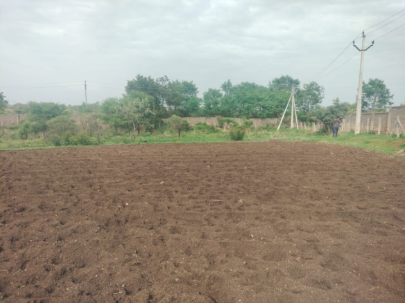 4.75 Acres Land