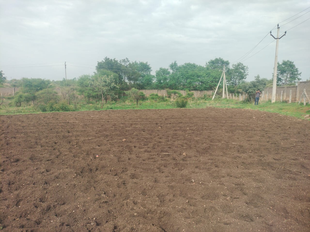 4.75 Acres Land