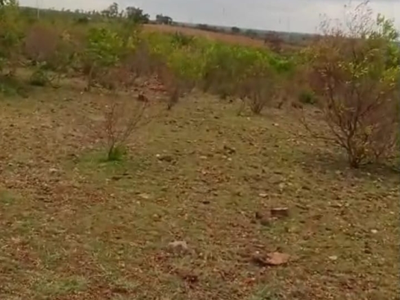 Red soil land