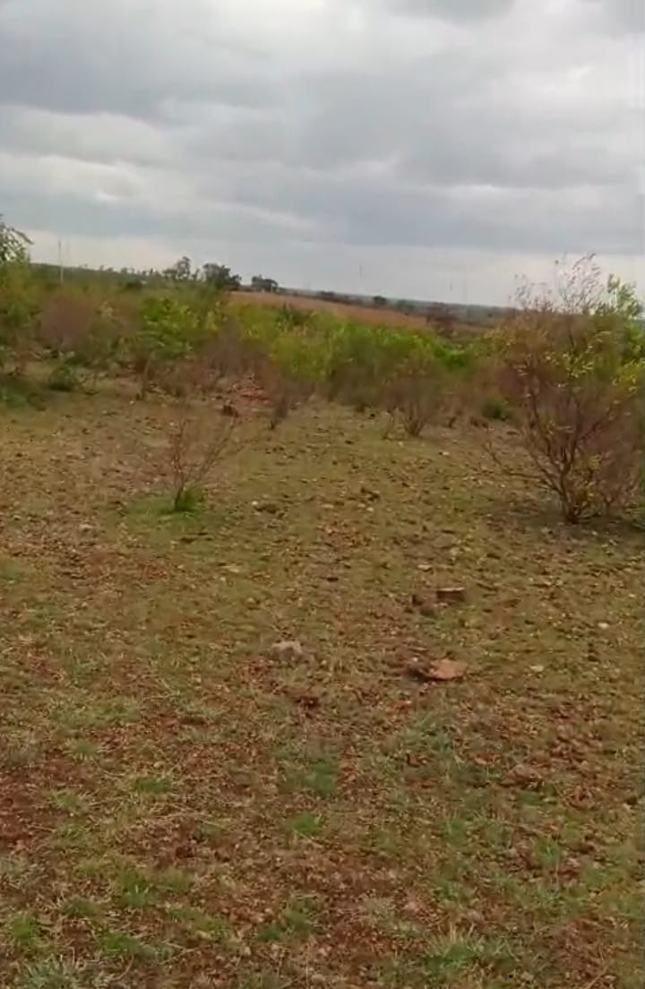 Red soil land