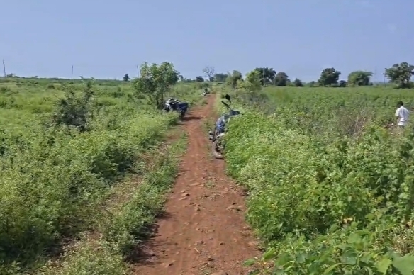 1 Acres red soil land