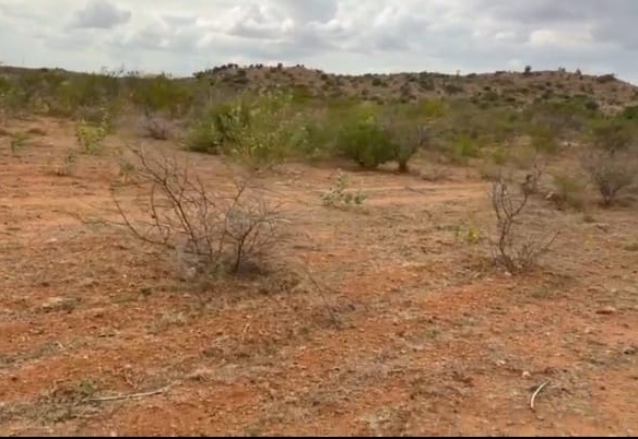 4.60 Acres Red Soil