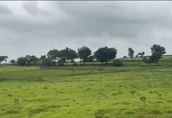 70 Acres Mixed Soil