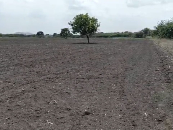2.5 Acres Black Soil