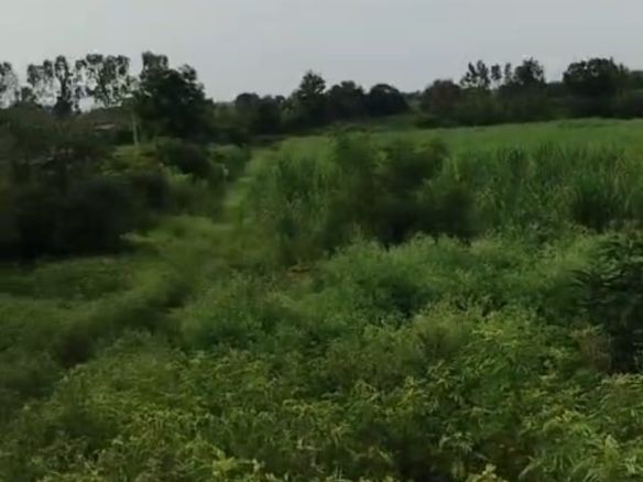 6 acres red soil land