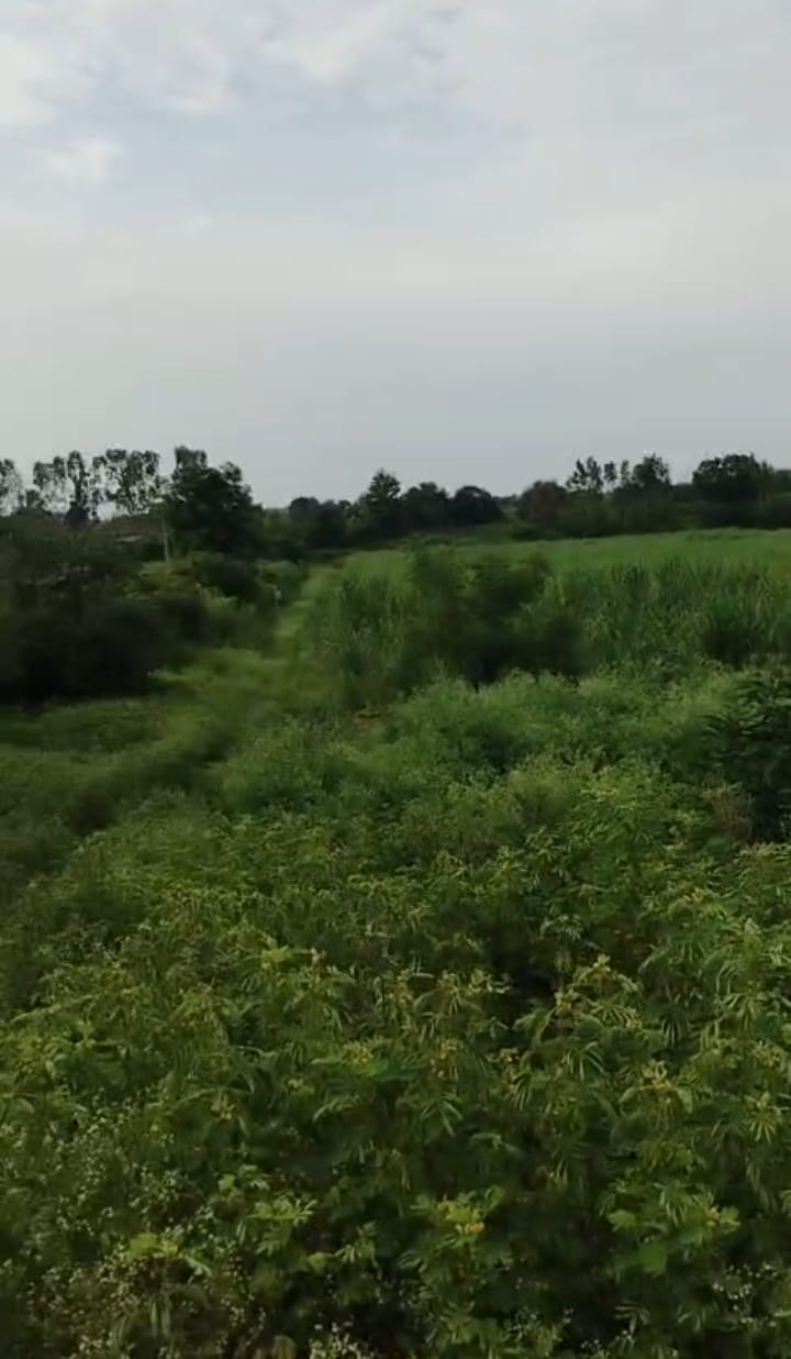 6 acres red soil land