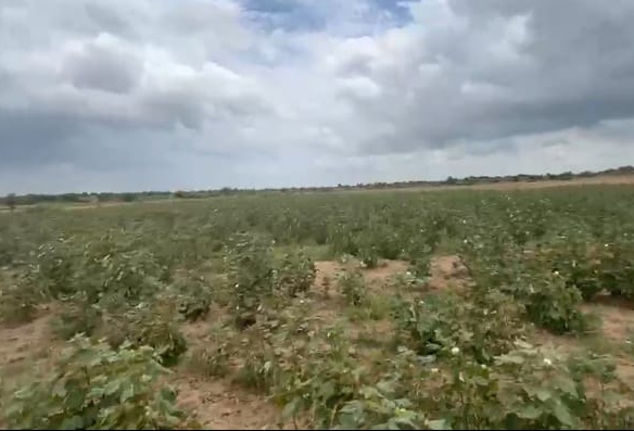 6 Acres Mixed Soil