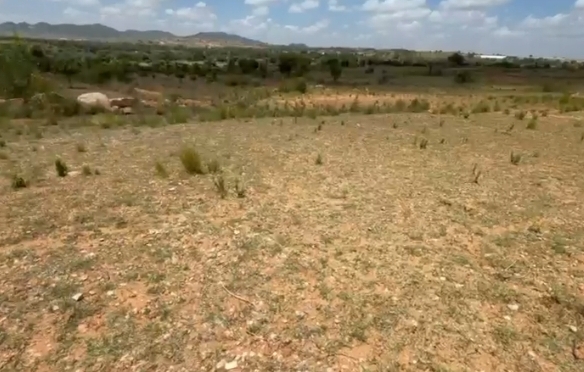 5.80 Acres Red Soil Land