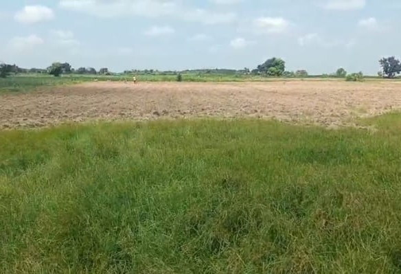 1.50 Acres Mixed Agriculture Land