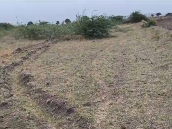 Black soil agriculture Land