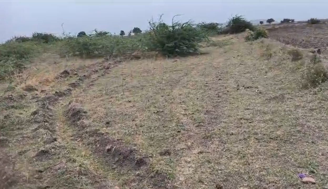 Black soil agriculture Land
