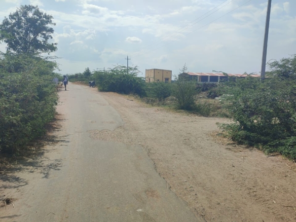 Black Soil Land